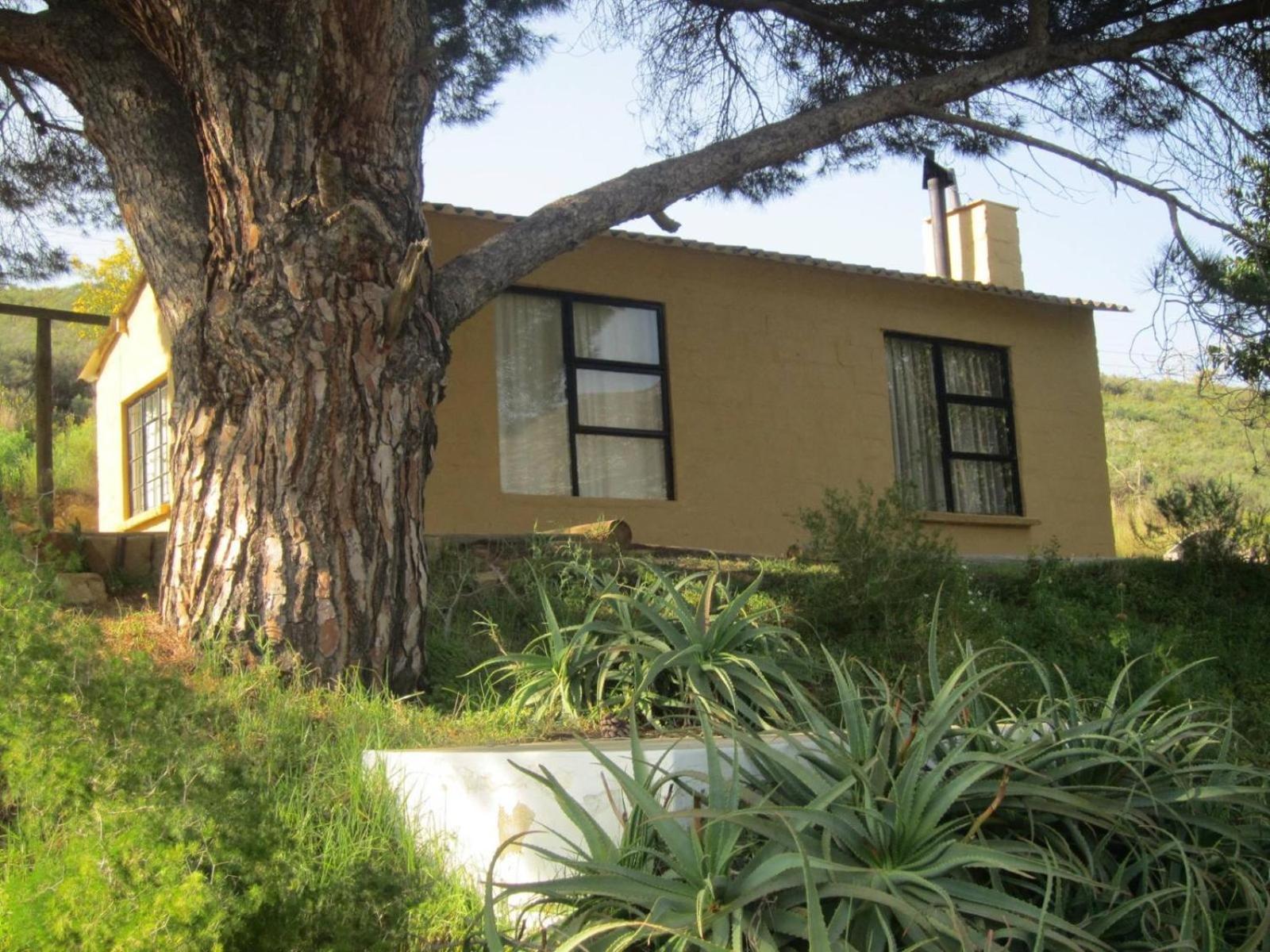 Villa Swaynekloof Farm Botrivier Zimmer foto